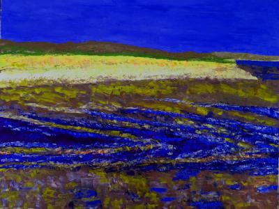 Côte sauvage à marée descendante